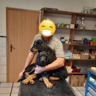 Preview of Dr. med. vet. B. Eigendorf