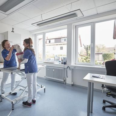 Preview of Kleintierpraxis Müllheim