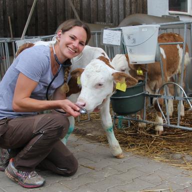 Preview of Tierarztpraxis Nina Siegmund für Rinder & kleine Wiederkäuer