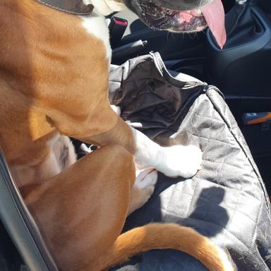 Preview of Dr.med.vet. Robert Klöser