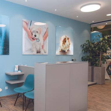 Vorschau von Tierarzt Krefeld, Tierarztpraxis Activet Krefeld