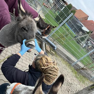 Vorschau von Kerstin Rückwardt
