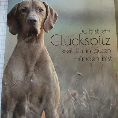 Vorschau von Tierarztpraxis Dr.Katja Tischer