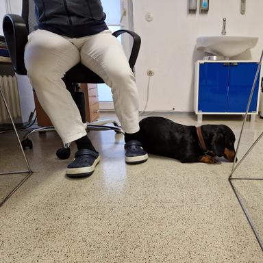 Preview of Dr.med.vet. Peter Dirscherl Tierarzt