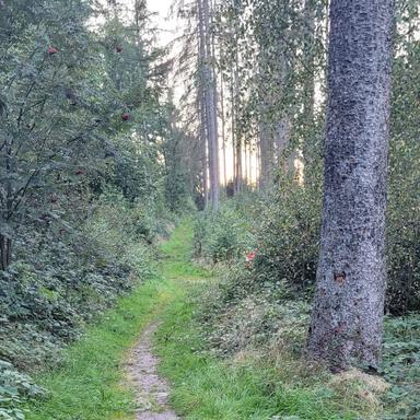 Vorschau von Tierarztparxis Elvire Hudler Oerlinghausen