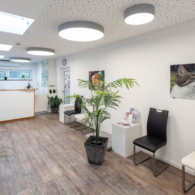 Vorschau von Dr. Stephanie Milz