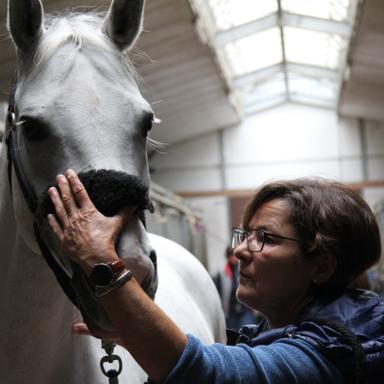 Preview of Dr.med.vet. Caroline Schay-Briem Tierärztin