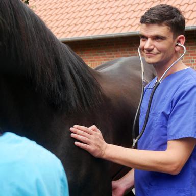 Preview of Tierärztliches Gesundheitszentrum Dr. Nadja Kosuch & Tim Gernhardt, Steyerberg