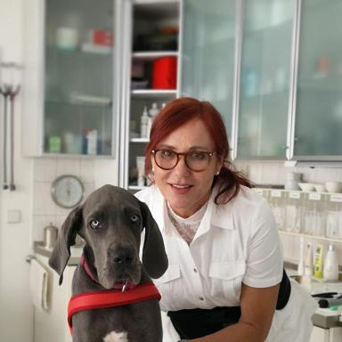 Preview of Tierarztpraxis Dr. Ariane Valentin Fachtierärztin