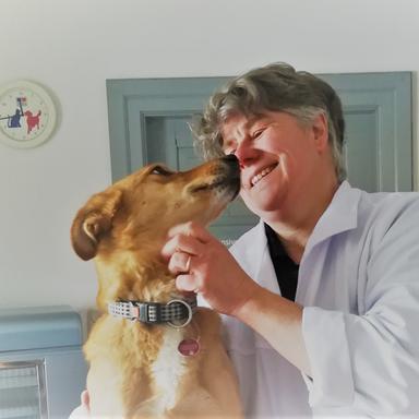 Vorschau von Tierarztpraxis Dr. Grebenau-Klehr