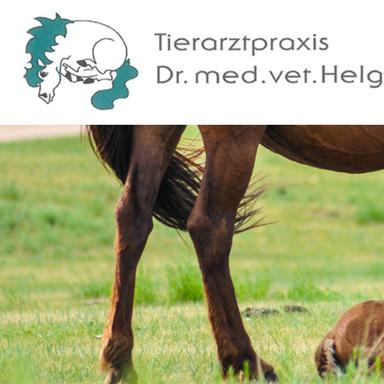 Preview of Dr. med. vet. Helga Schrop | Tierärztin für Pferde
