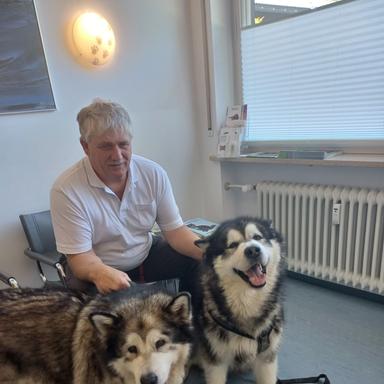 Vorschau von Dr.med.vet. Sabine Gordon - Fachtierärztin für Chirurgie, Augenheilkunde