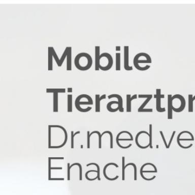 Vorschau von Mobile Tierarztpraxis für Pferde und Kleintiere Regenstauf