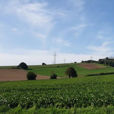 Vorschau von Jens Mühlberg