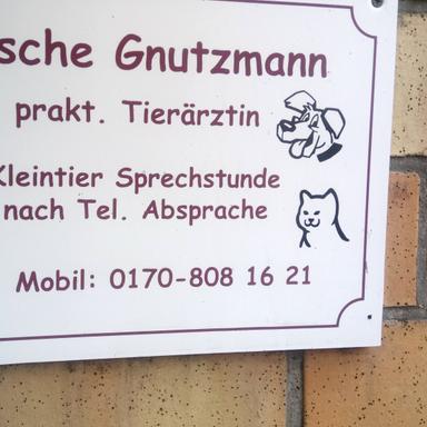 Preview of Gesche Gnutzmann Tierärztin
