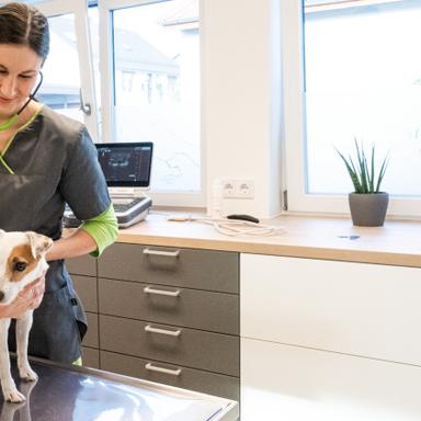 Vorschau von Tierärztin Sabrina Hendel