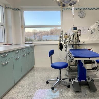 Preview of Tierklinik Zweibrücken - Dr. Liana Meisel-Gehl