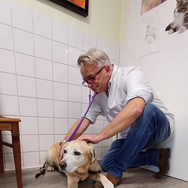 Preview of Dr.med.vet. Klaus Eckert Tierarzt