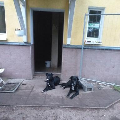 Vorschau von Ina Müller Tierärztin
