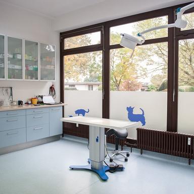 Preview of Kleintierpraxis Im Falkenstein GmbH