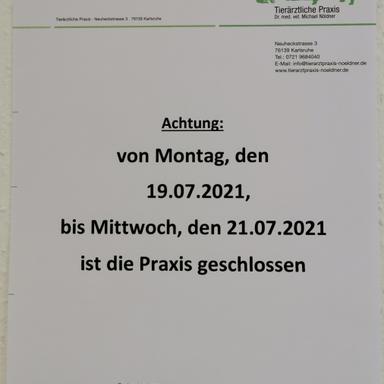 Preview of Tierarzt Dr. med. vet. Michael Nöldner