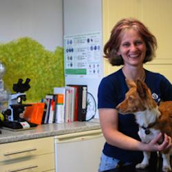 Preview of Ulla-Britta Schneckenburger Tierärztin